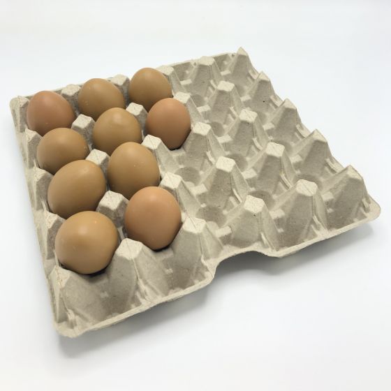 Wijden knoop aan de andere kant, Eiertray voor 20 Grote Eieren kopen? Bestel bij Kippenhuis.nl
