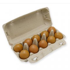 Eierdoos 10 Eggpack