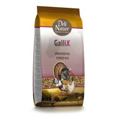 GalliX Power Mix 4KG