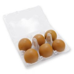 Doorzichtige eierdoos voor 6 eieren 