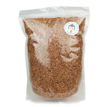 Tussendoortje: Vlokreeftjes 3L