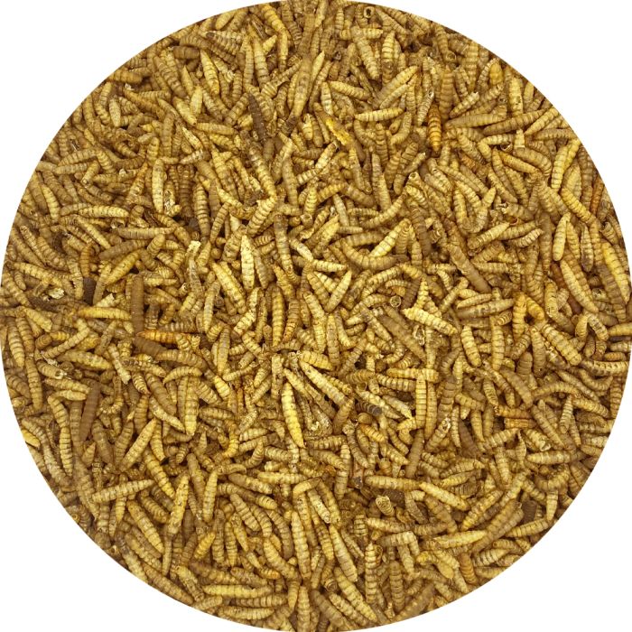 Calciumwormen Grootverpakking 5kg
