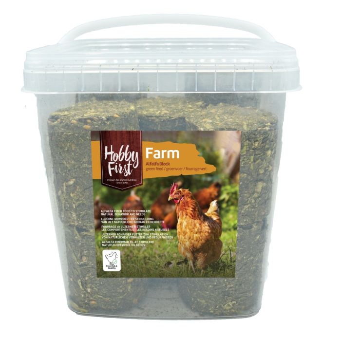 Hobby First Alfalfa Block 2Kg Groenvoer