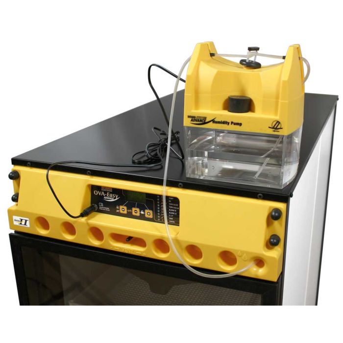 Brinsea Ova-Easy 380 Advance EX - Met Automatisch Vochtsysteem