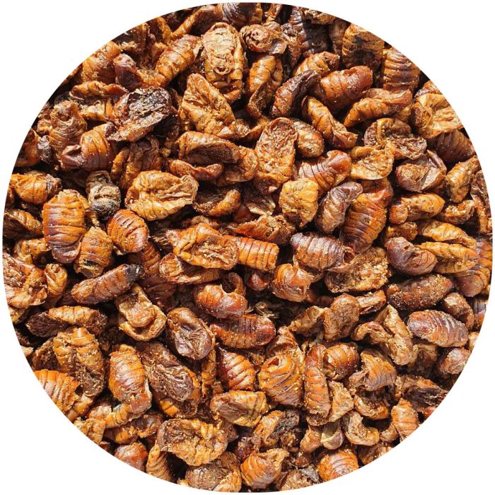 Zijderupsen Grootverpakking 10Kg