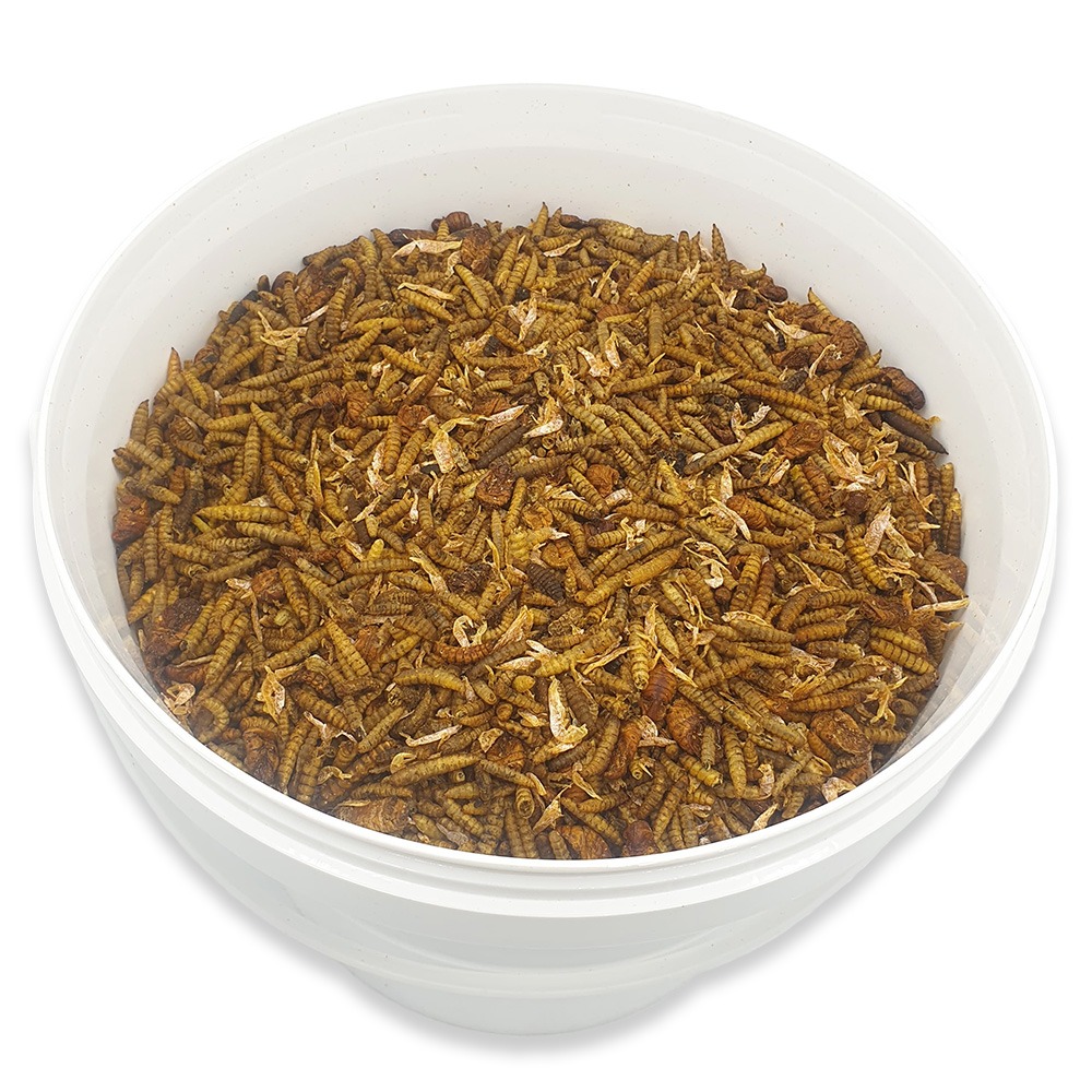 Tussendoortje: Insectenmix 10L