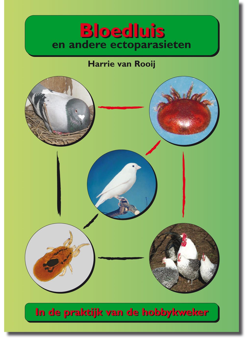 Bloedluis bij kippen? Tips voor het